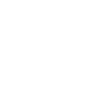 pulpo